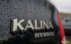 kalina-hybrid_39235_b.jpg