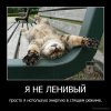 demotivacija.ru_JA-NE-LENIVYJ-prosto-ja-ispolzuju-energiju-v-spjashem-rezhime_135300304889.jpg